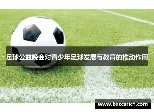 足球公益晚会对青少年足球发展与教育的推动作用